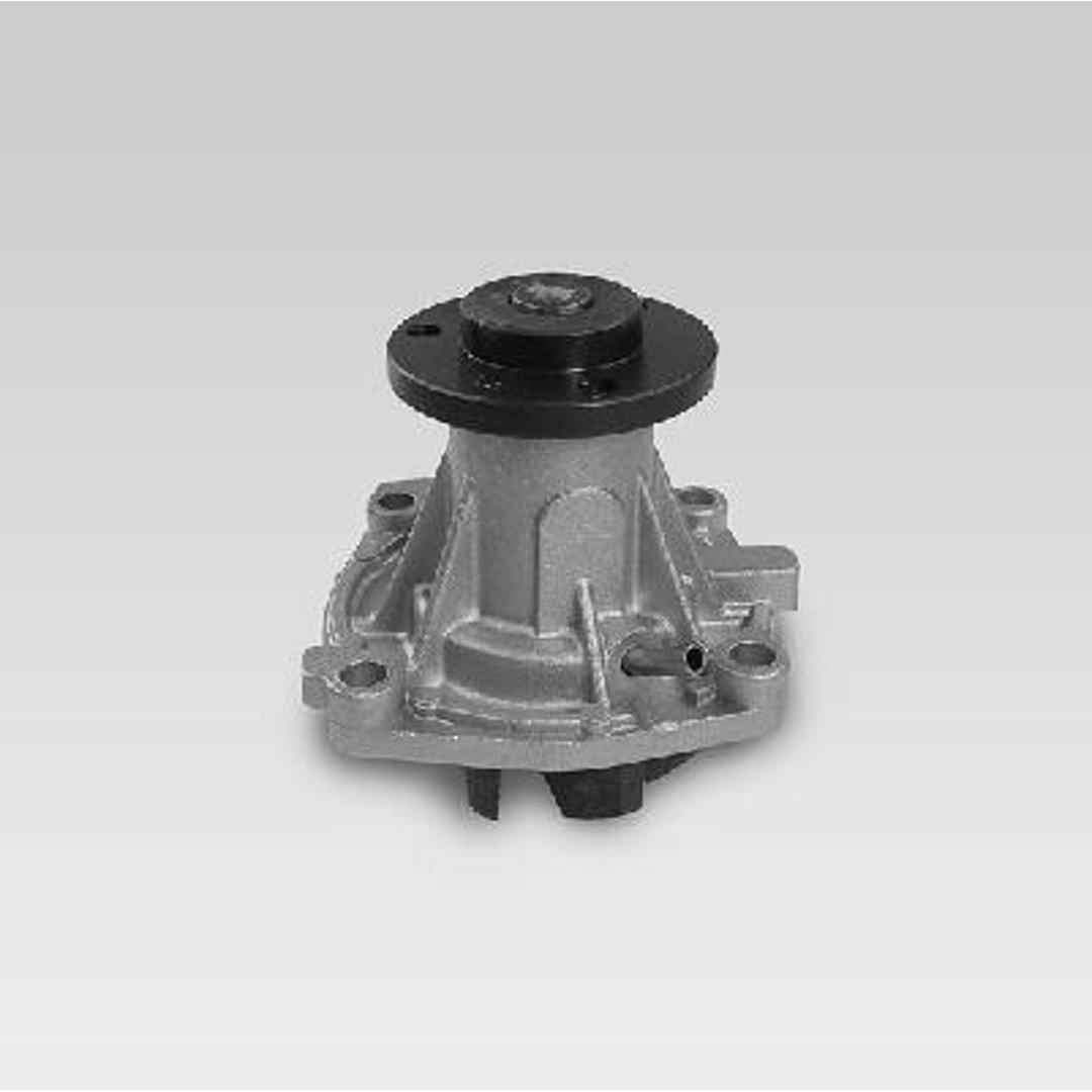 HEPU Pompa wody P1081