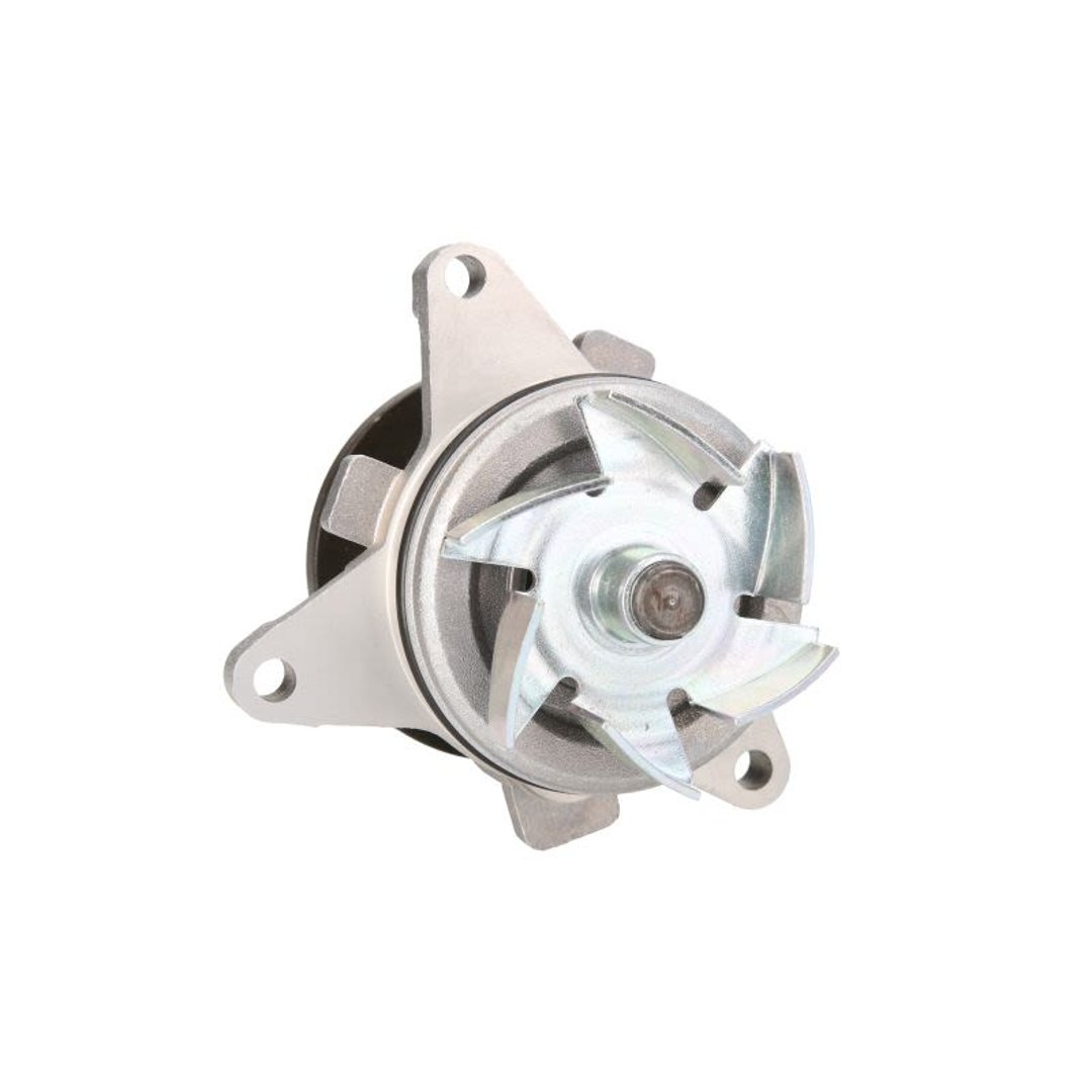 HEPU Pompa wodna P251