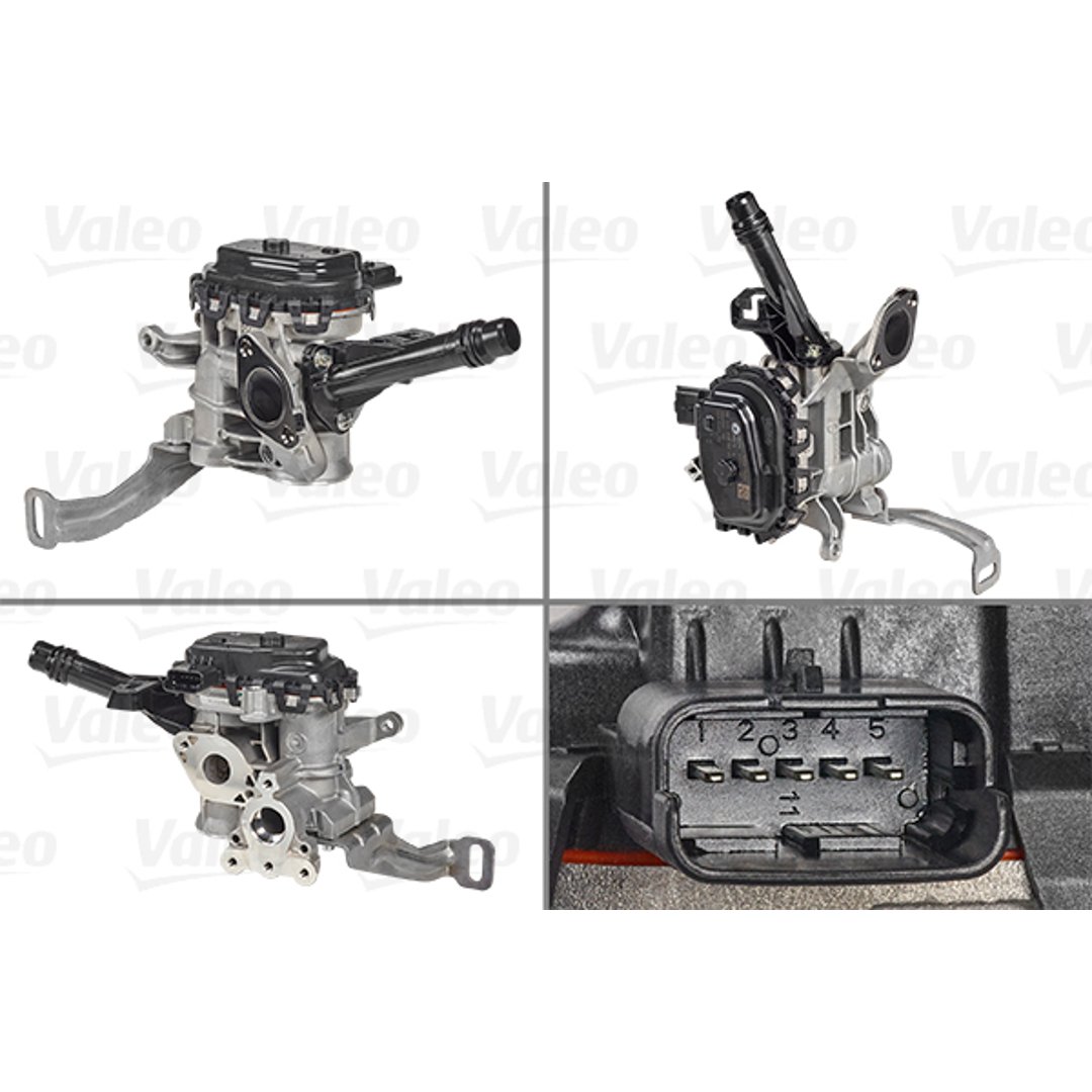 Zawór AGR Valeo 700455