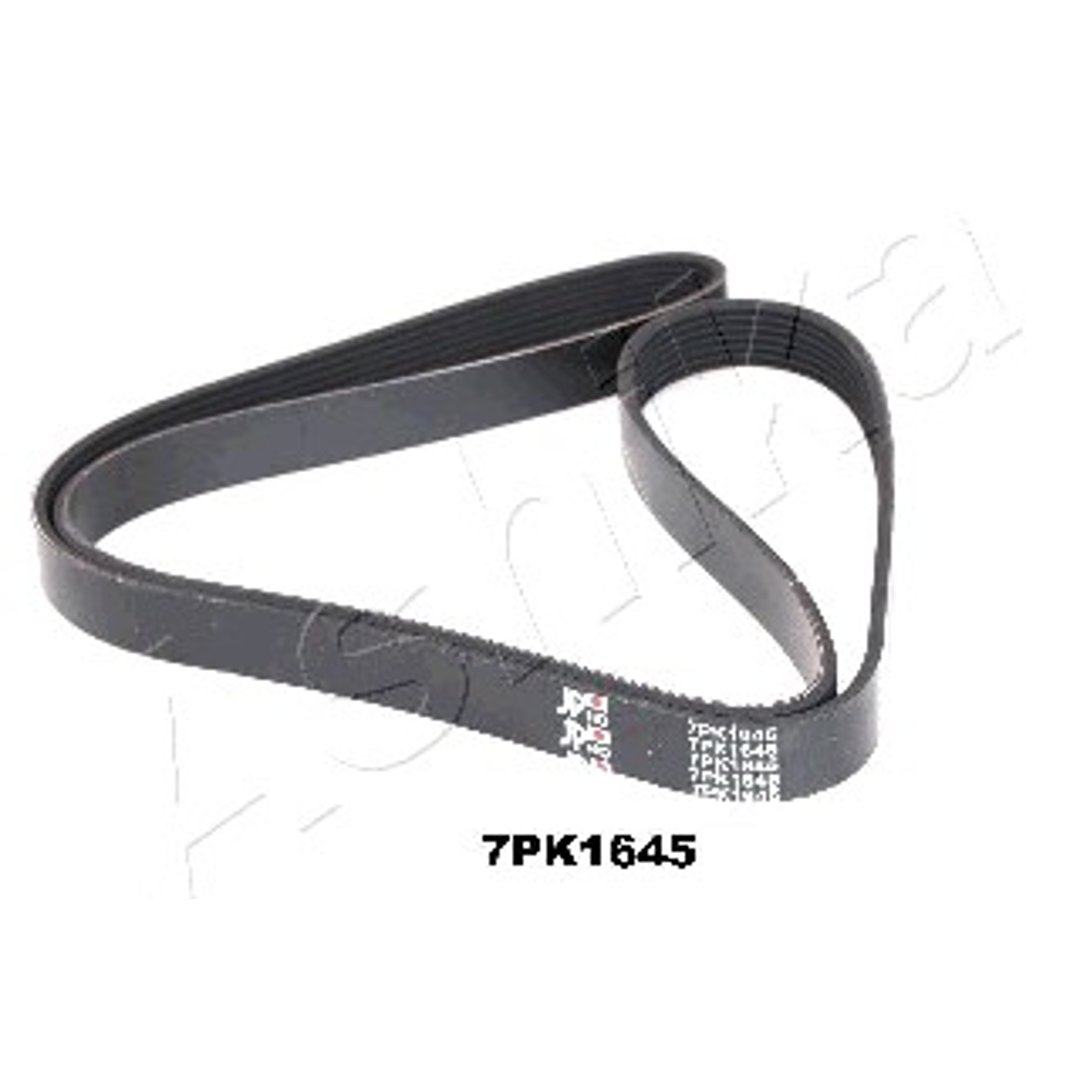 Pasek klinowy wielorowkowy Ashika 112-7PK1645