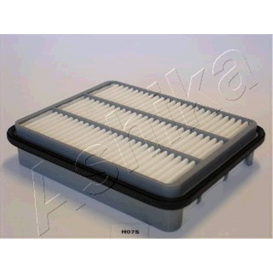 Filtr powietrza Ashika 20-H0-007