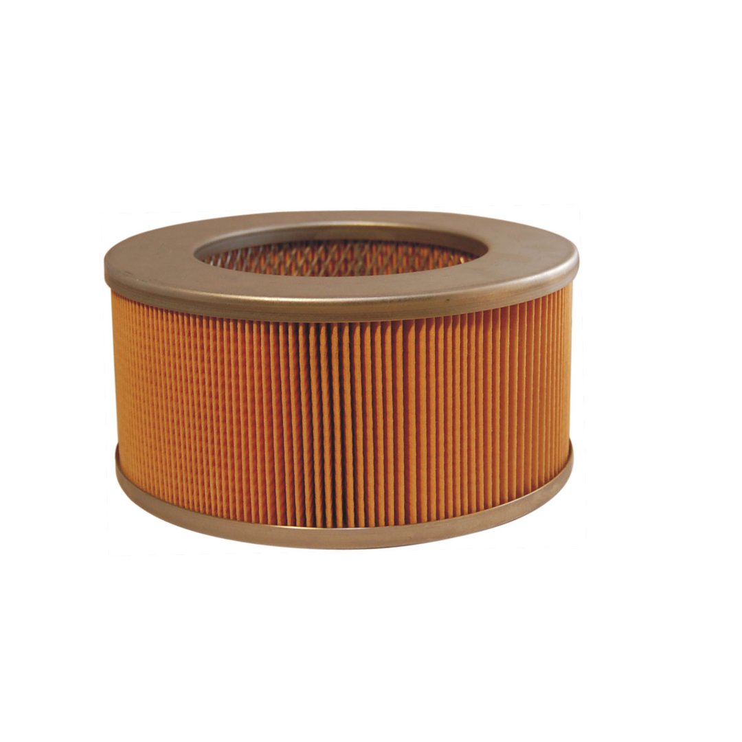 Filtron AM 427 FILTR POWIETRZA