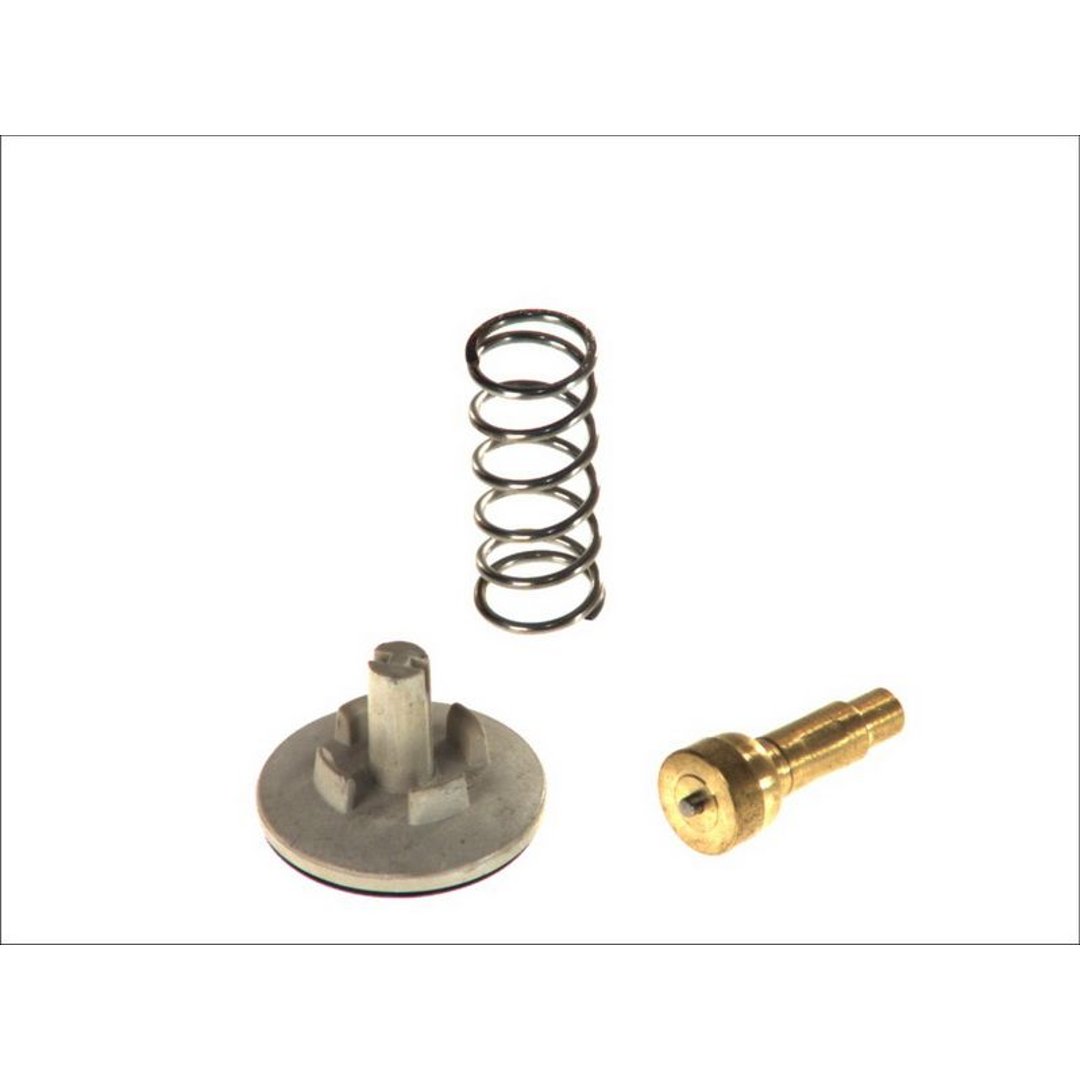 TOPRAN Termostat ukadu chodzenia 113 287
