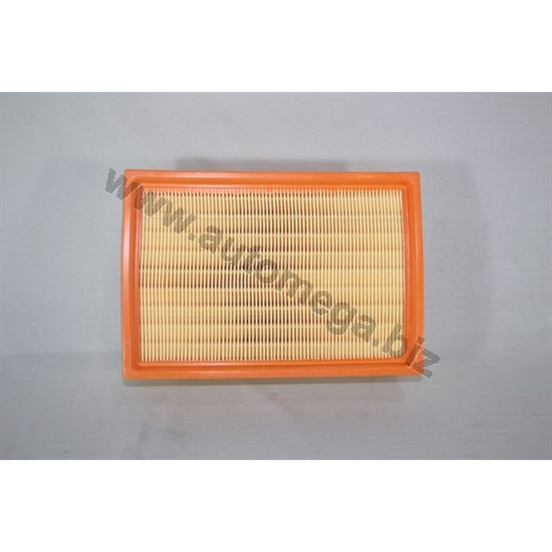 Filtr powietrza AUTOMEGA 180029010