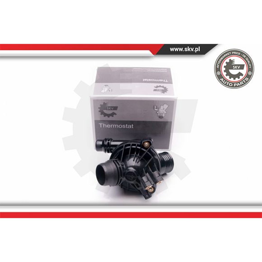 Termostat ESEN SKV 20SKV061