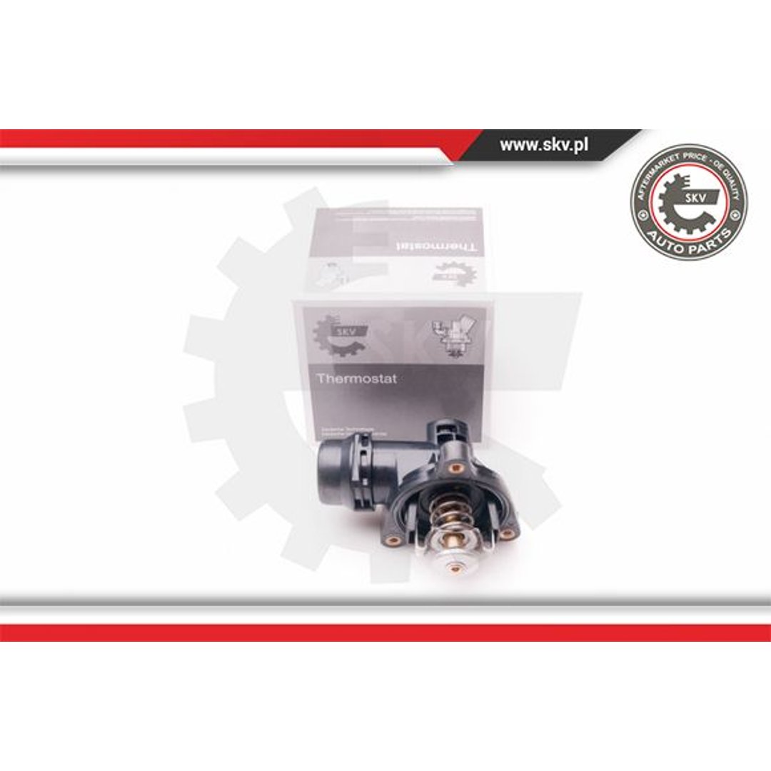 Termostat ESEN SKV 20SKV062