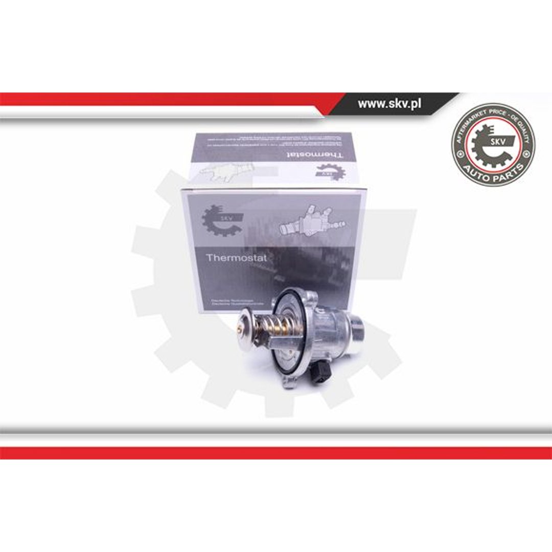 Termostat ESEN SKV 20SKV063
