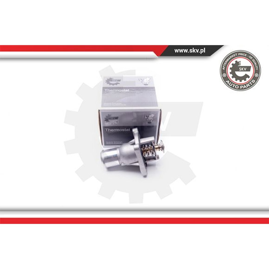 Termostat ESEN SKV 20SKV081