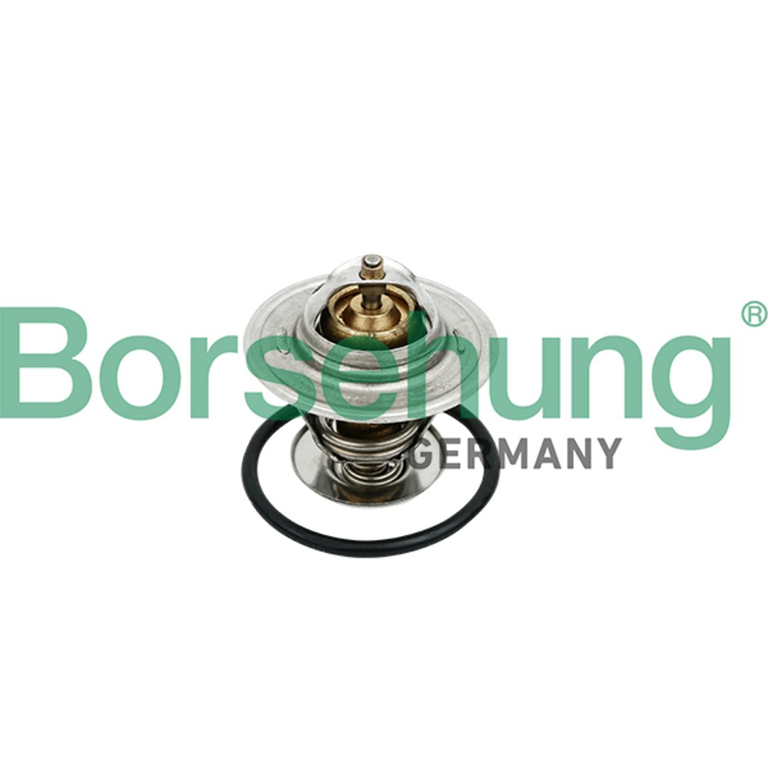Termostat BORSEHUNG B18259