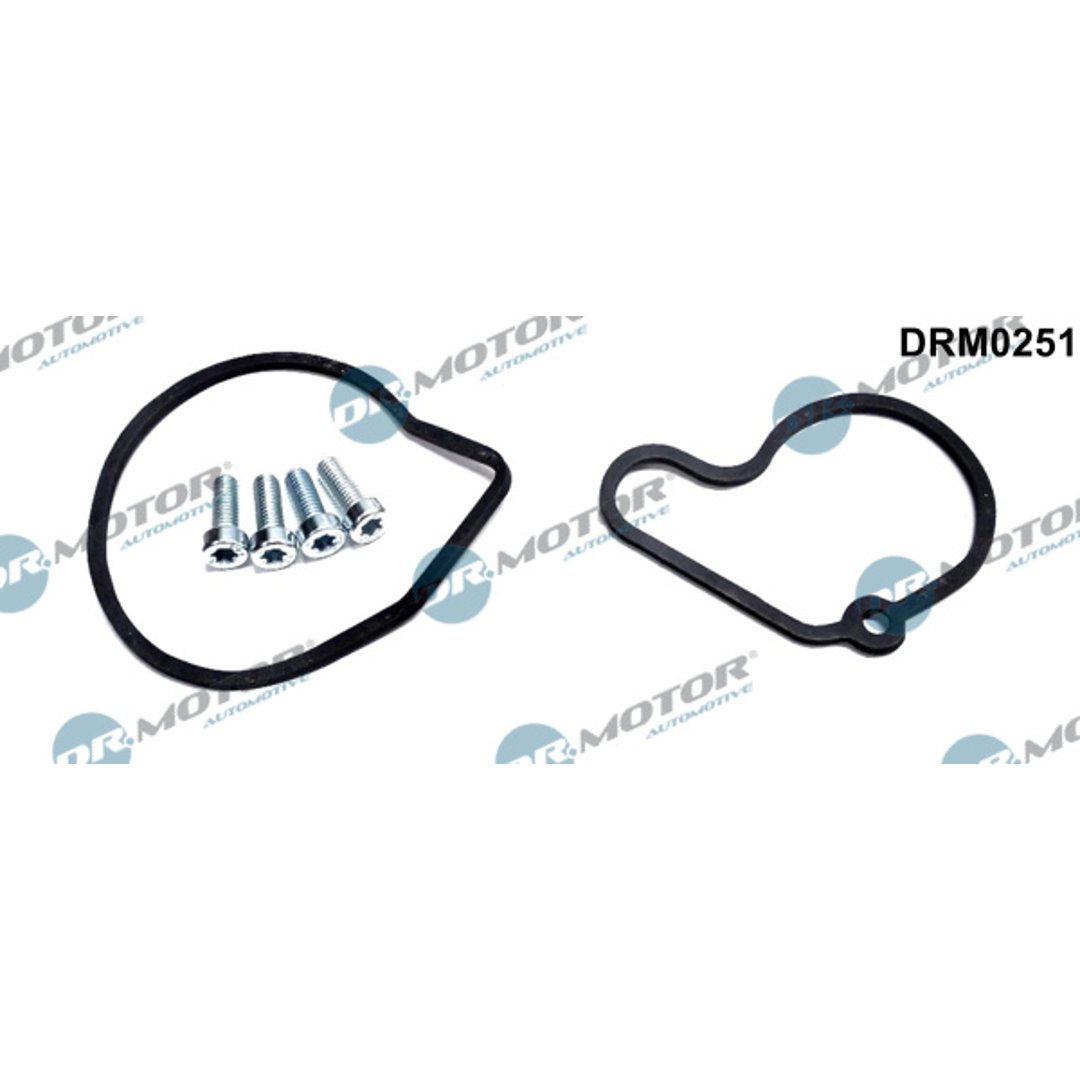 Zestaw naprawczy pompy podciśnienia DR.MOTOR AUTOMOTIVE DRM0251