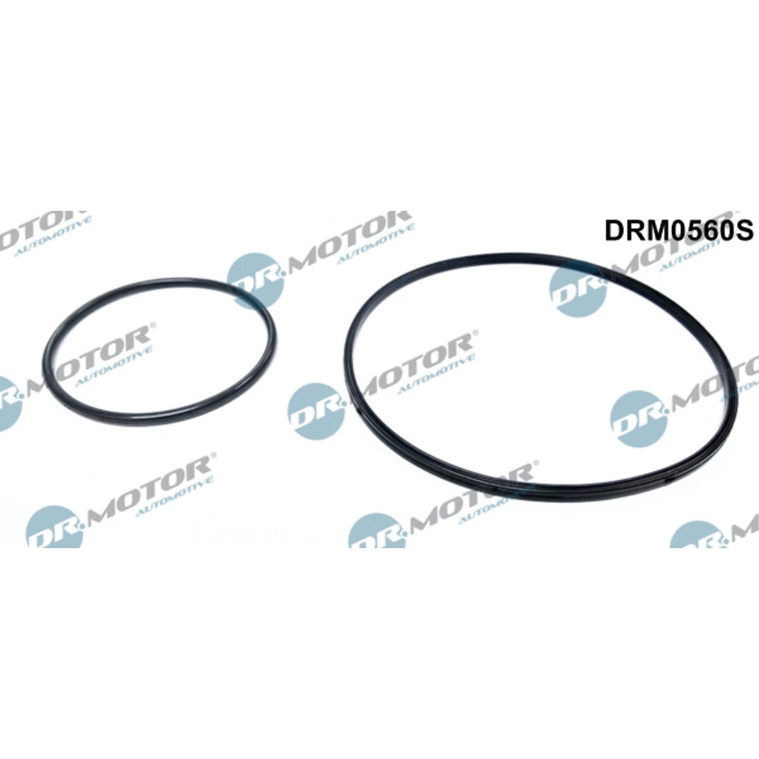 Zestaw uszczelnień, pompa podciśnieniowa Dr.motor Automotive DRM0560S