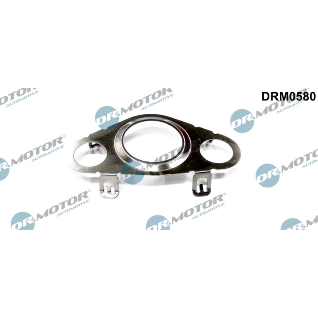 Uszczelnienie, zawór AGR Dr.motor Automotive DRM0580