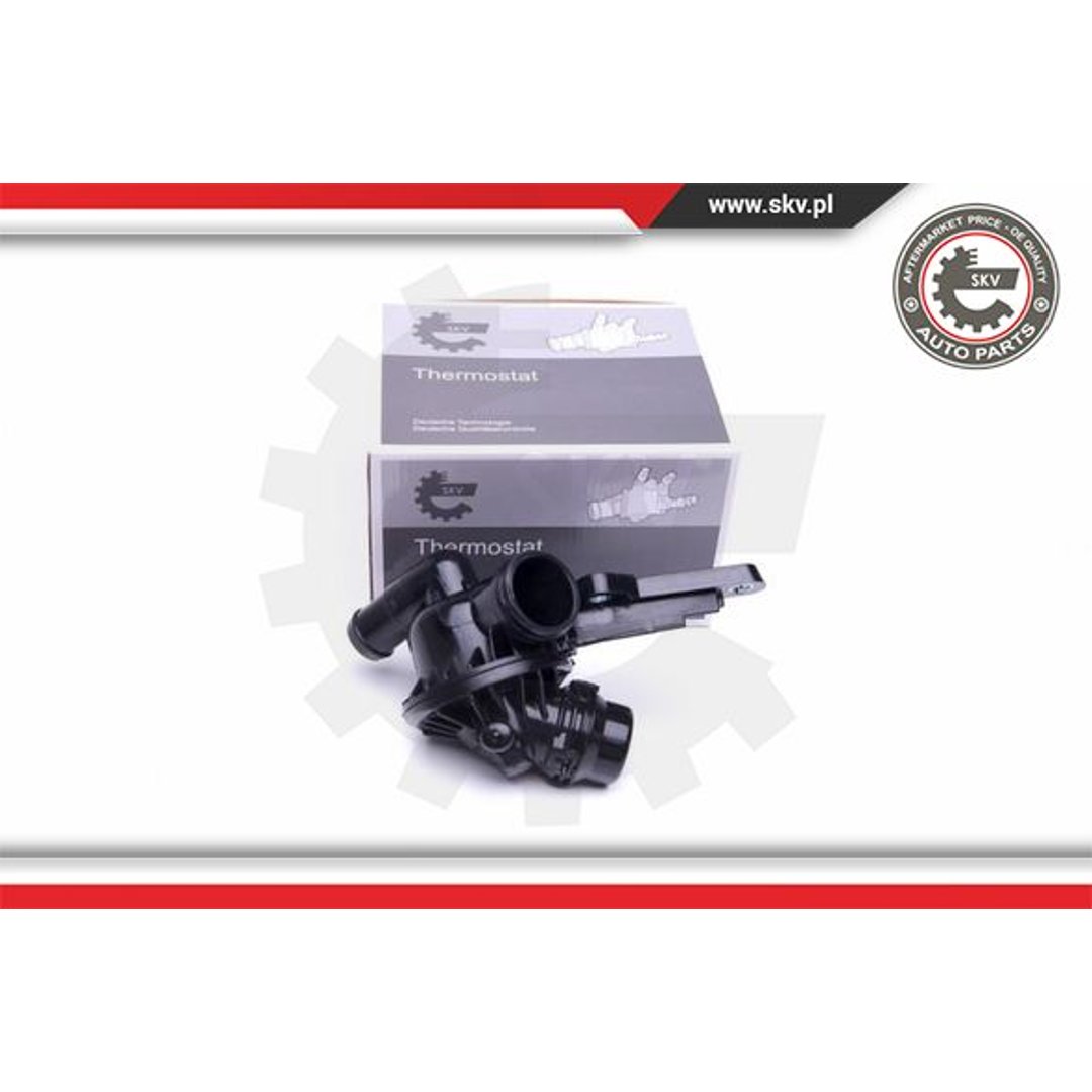 Termostat ESEN SKV 20SKV098