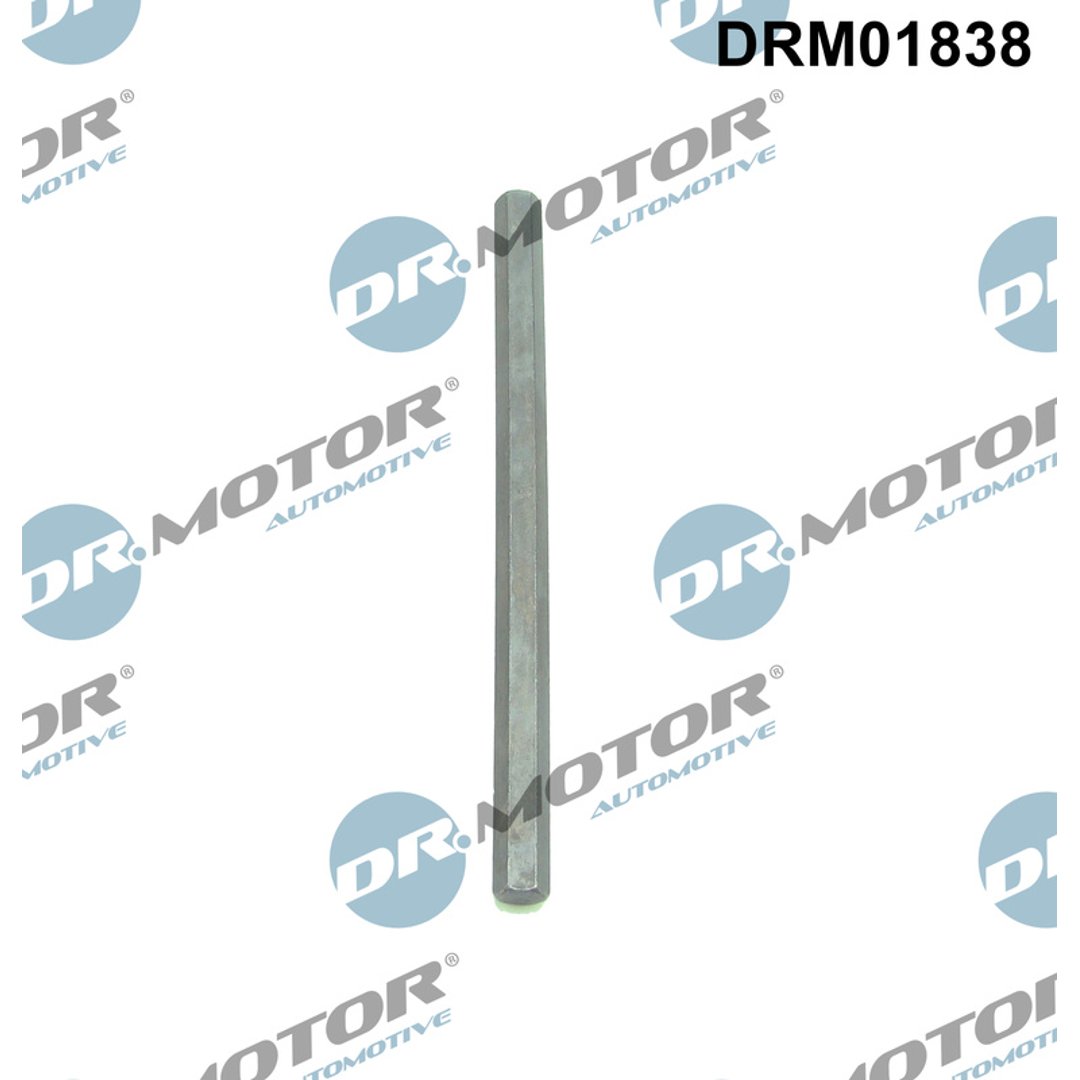 Wałek napędowy, pompa oleju DR.MOTOR AUTOMOTIVE DRM01838
