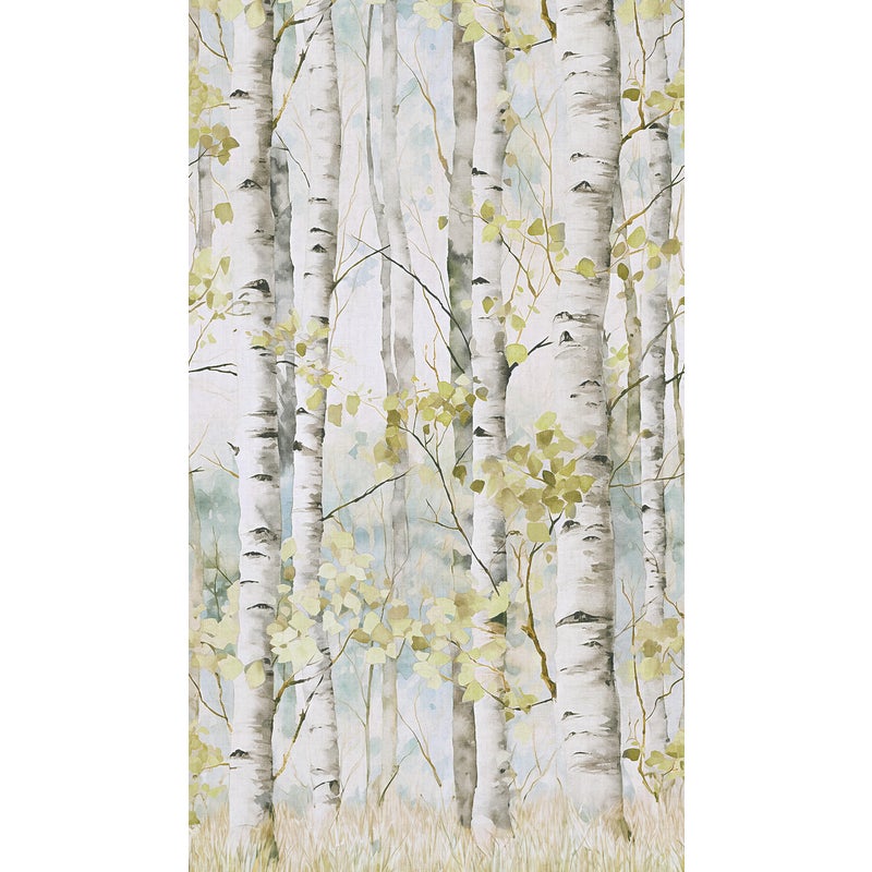 Tapeta panoramiczna Betula brzozowy las