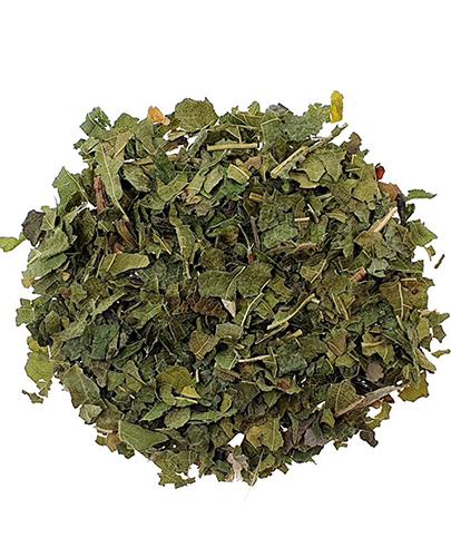 Astron Liść morwy białej, 50 g