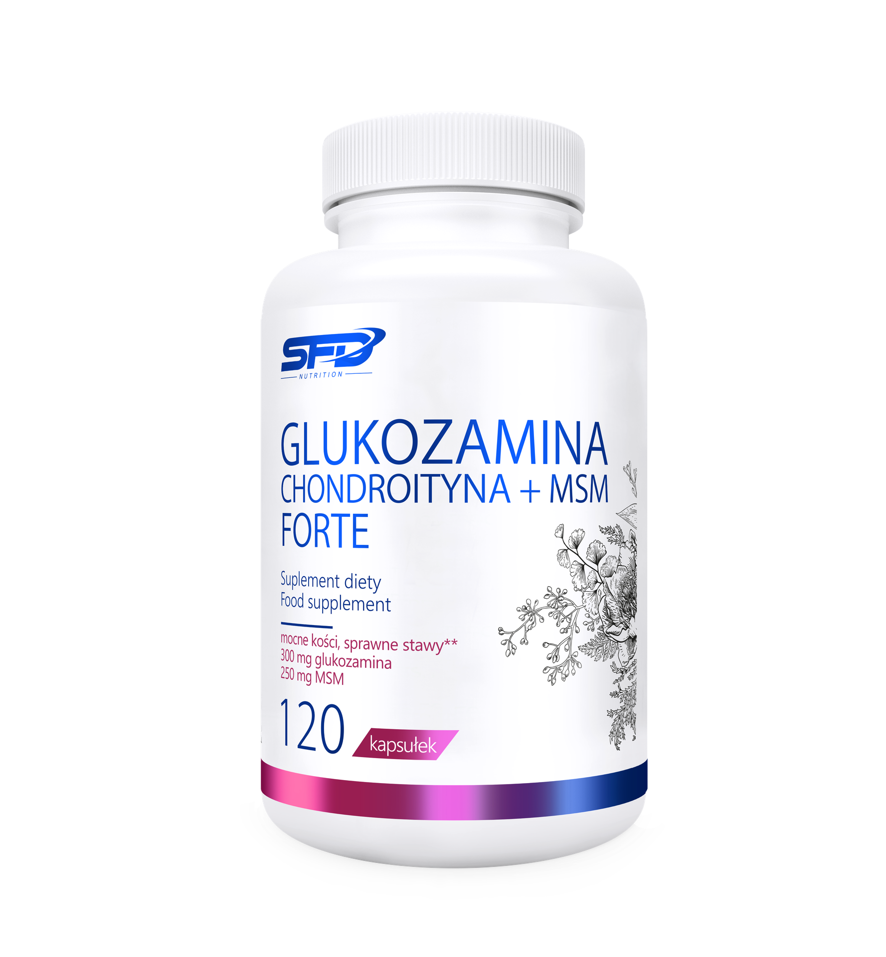 SFD Glukozamina Chondroityna Msm Forte, kapsułki, 120 sztuk