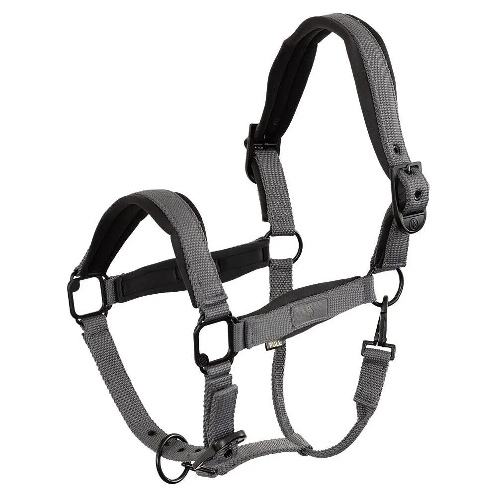 Kantar BR Equitation Fedde