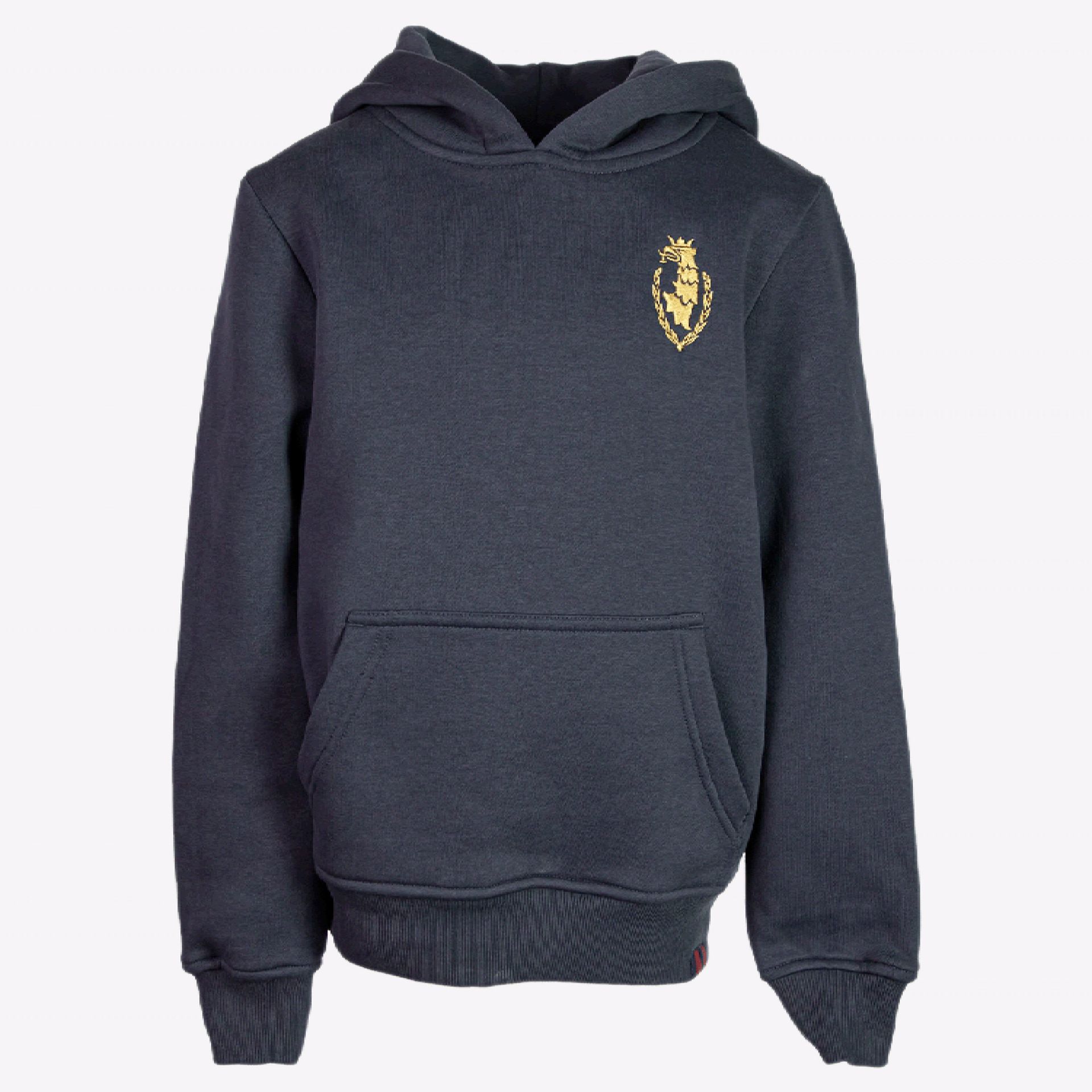 Bluza dla dzieci Pogoń z haftowanym gryfem