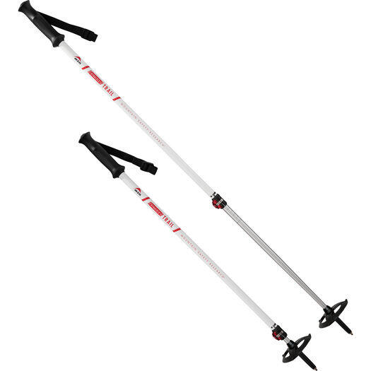 MSR DynaLock Trail Kijki 2 sekcje 80-140cm 2020 Kijki narciarskie i skitourowe 10239