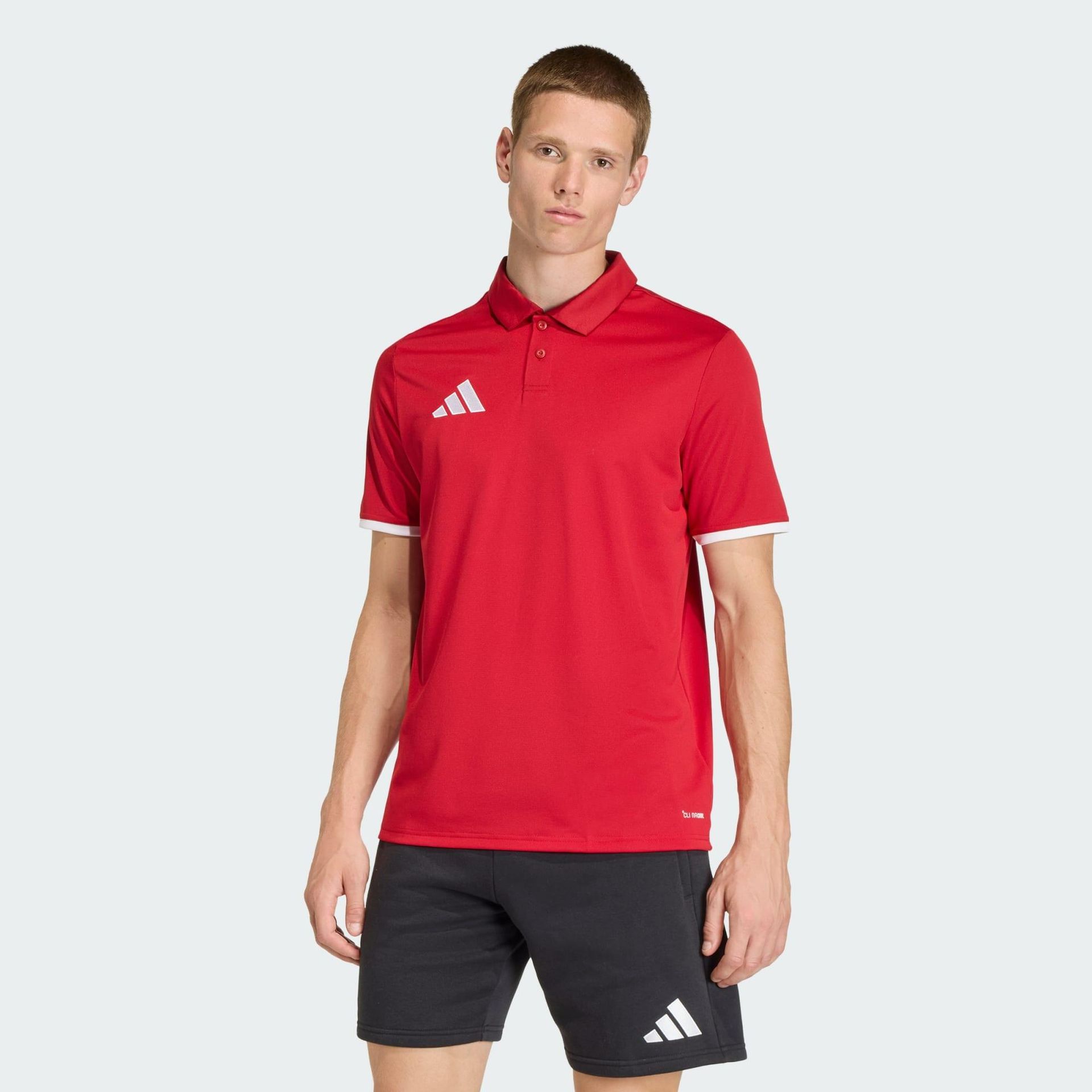 Koszulka męska adidas Entrada 26 Polo