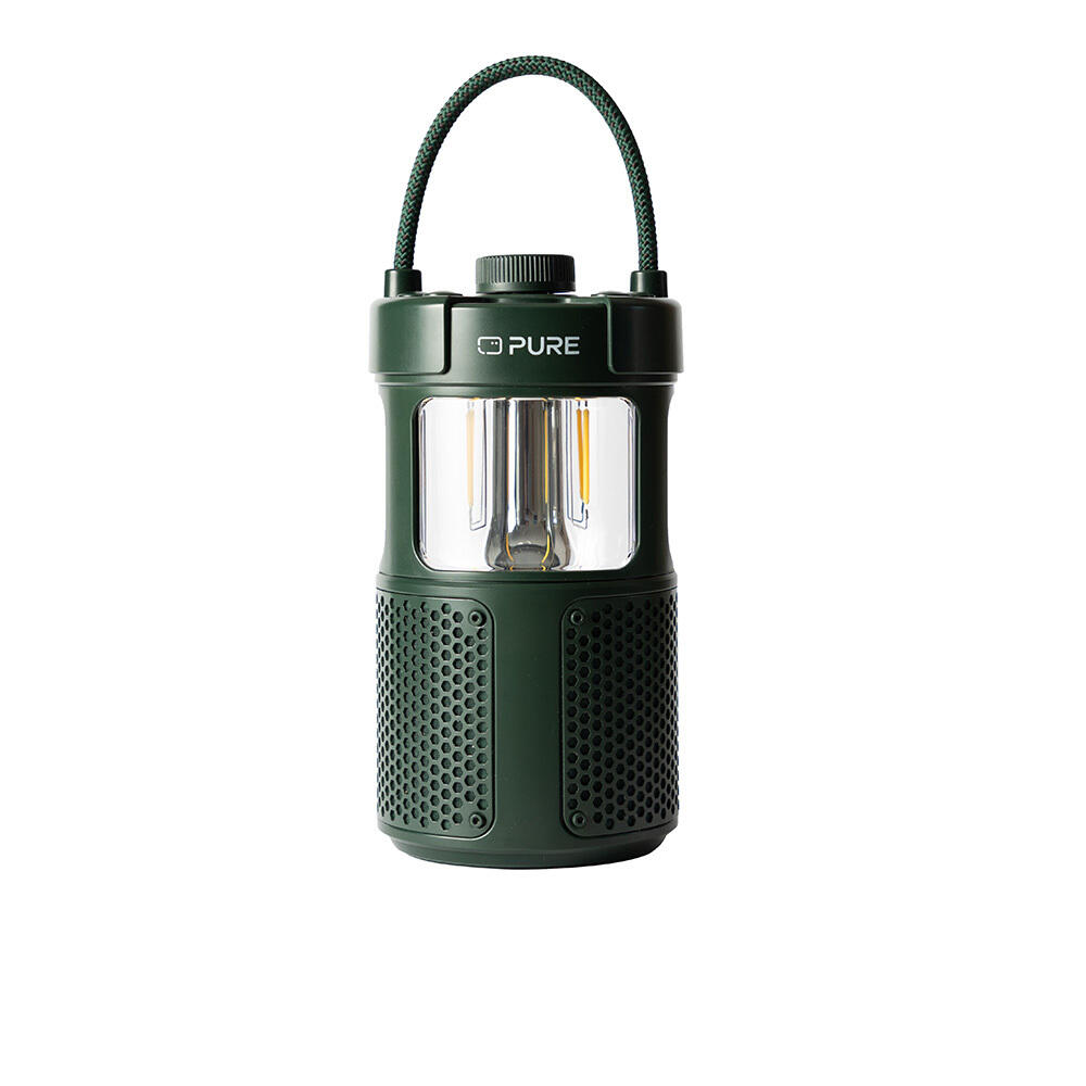 Pure 252584 głośnik przenośny / imprezowy Zielony 20 W