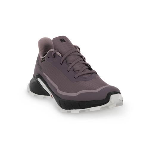 Salomon Damskie buty trekkingowe Alphacross 5 Gore-tex, Moonscape Black Hite, 37 1/3 EU