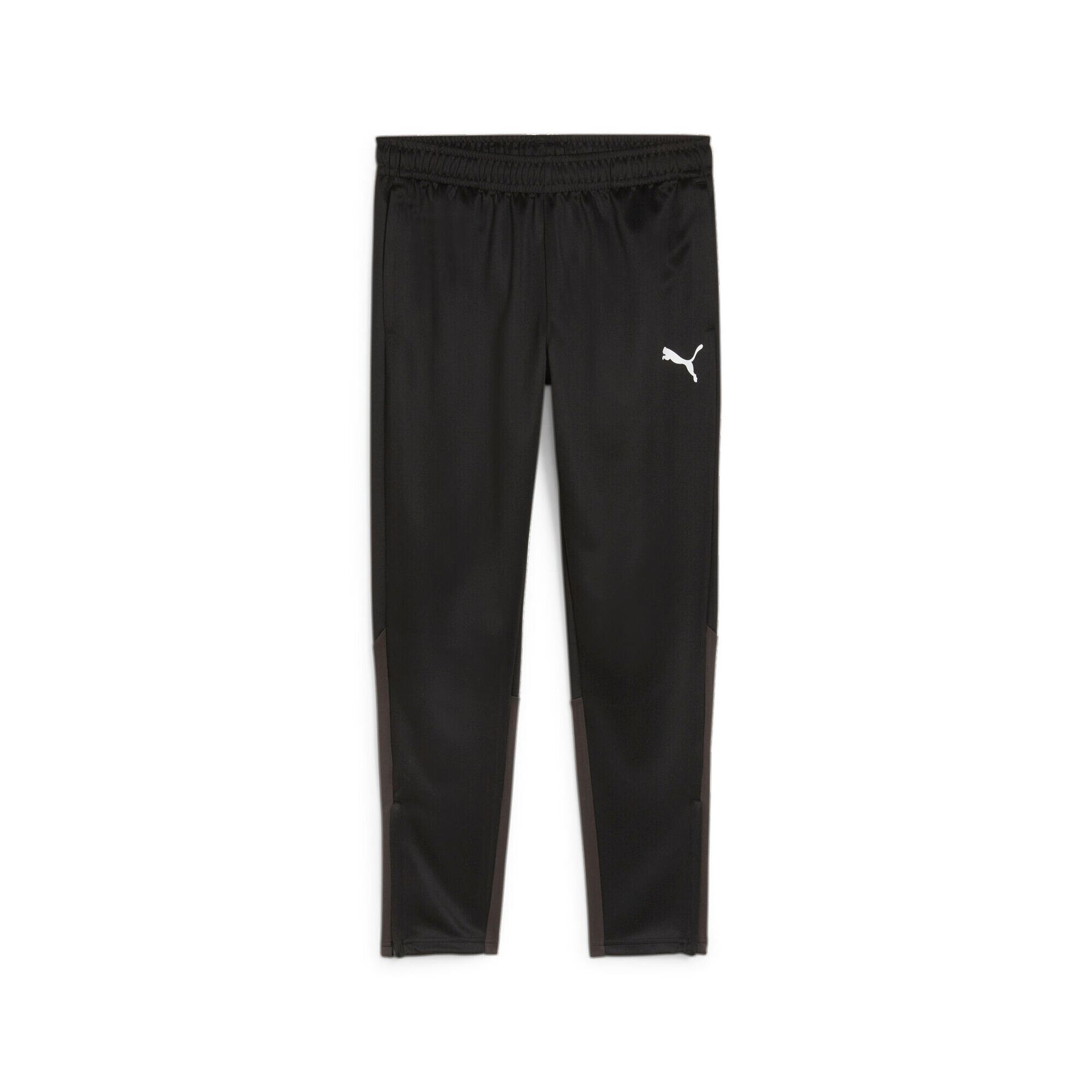 ND05_S12631-M 658639 03 Spodnie meskie Puma Team