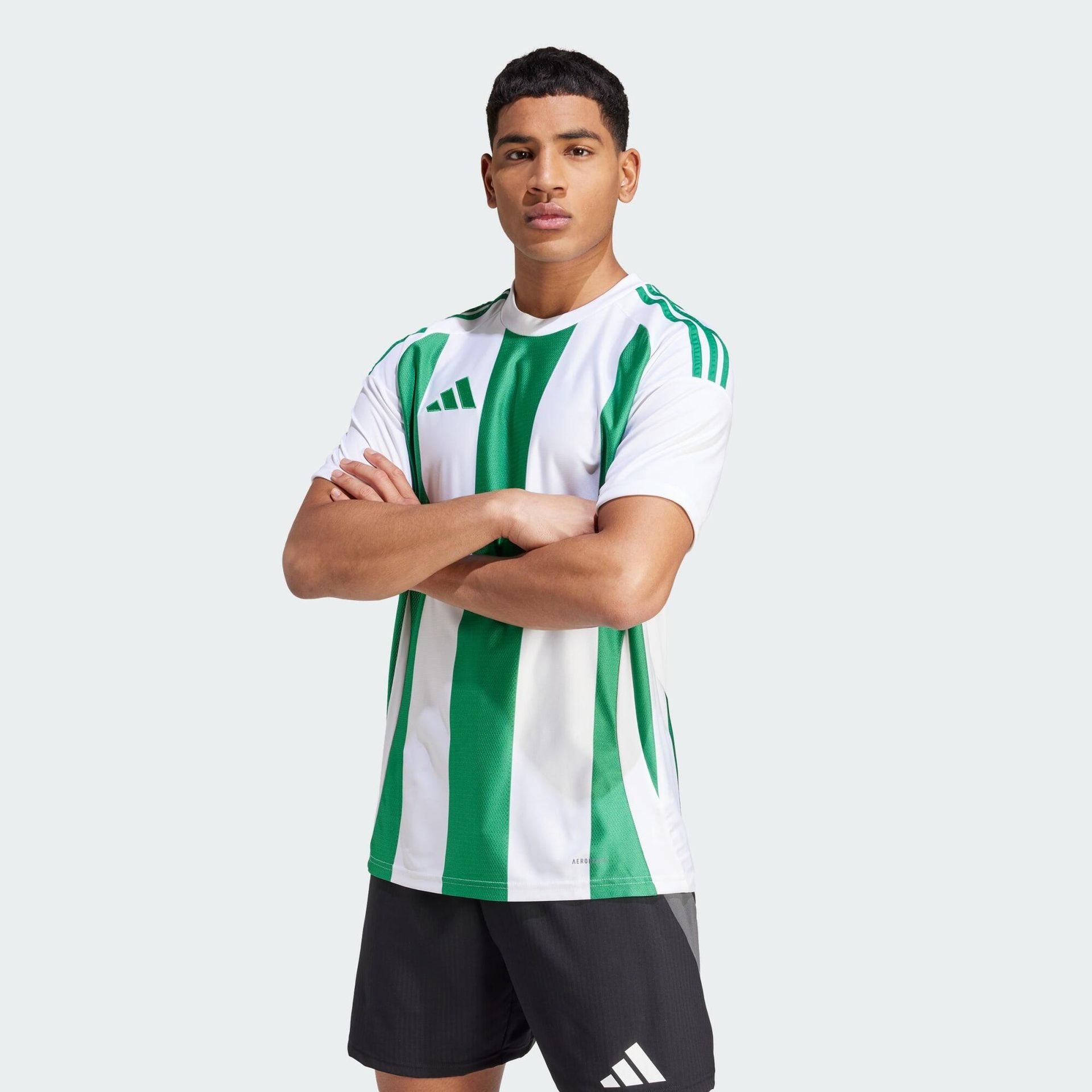 Męska Koszulka z krótkim rękawem ADIDAS STRIPED 24 JSY IW2147 – Niebieski