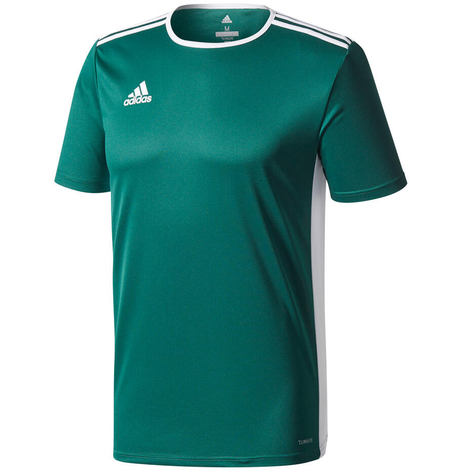 Adidas Koszulka Entra Jr CE9758 TS/solar green/white 116