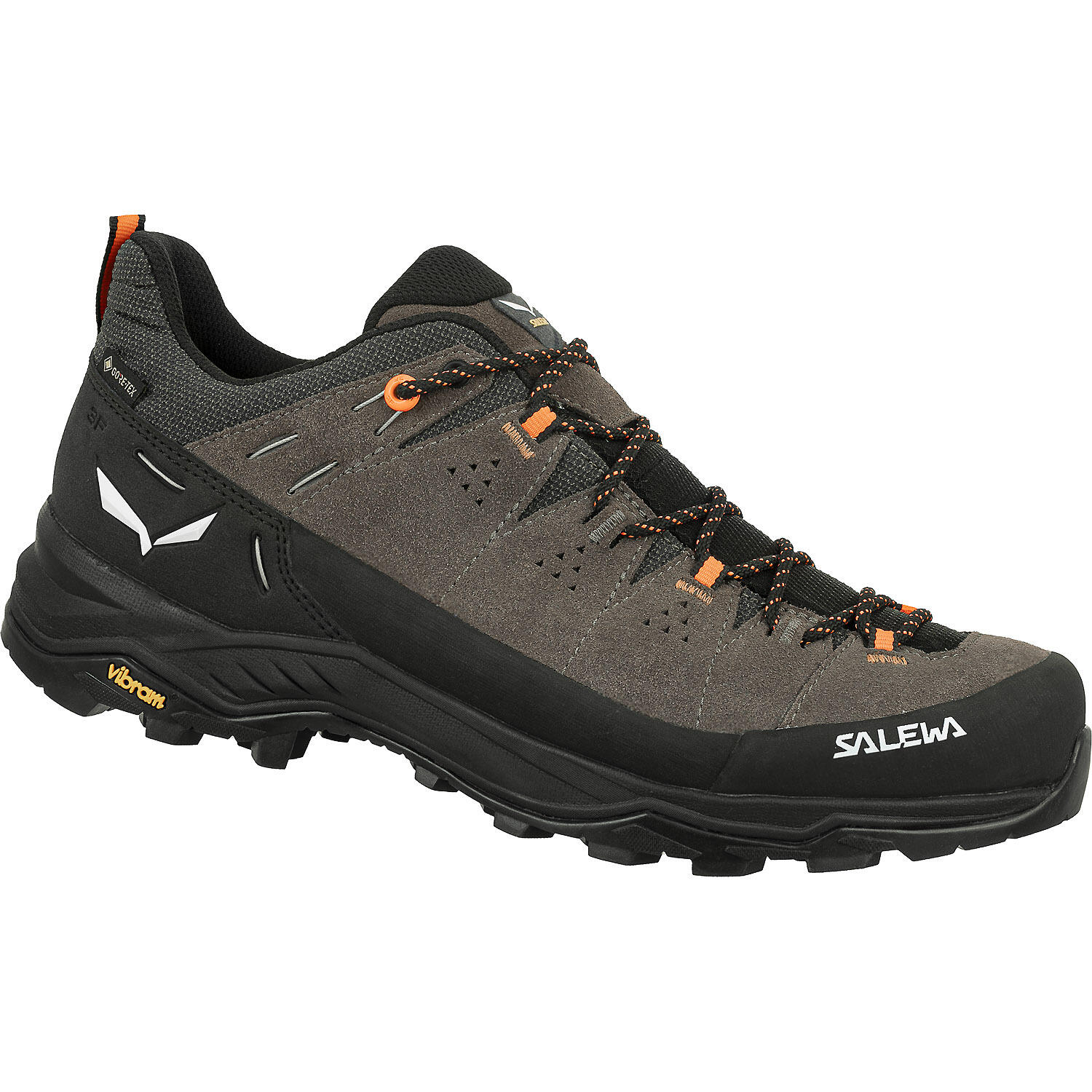 Buty trekkingowe męskie Salewa Alp Trainer 2 GTX 61400 r.45