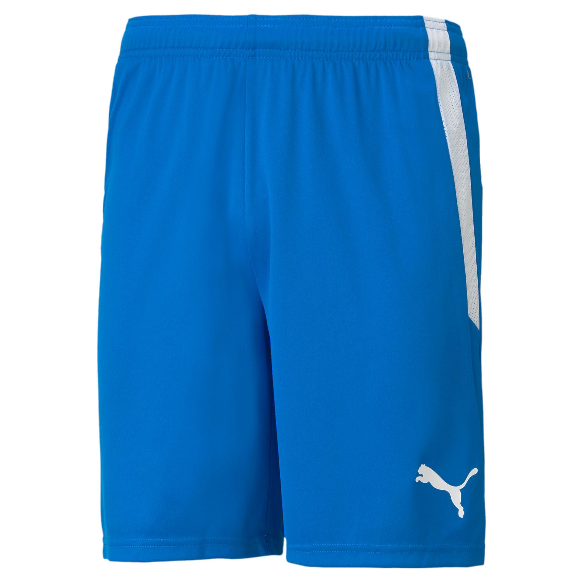 Puma Spodenki męskie Puma teamLIGA niebieskie 704924 02 L