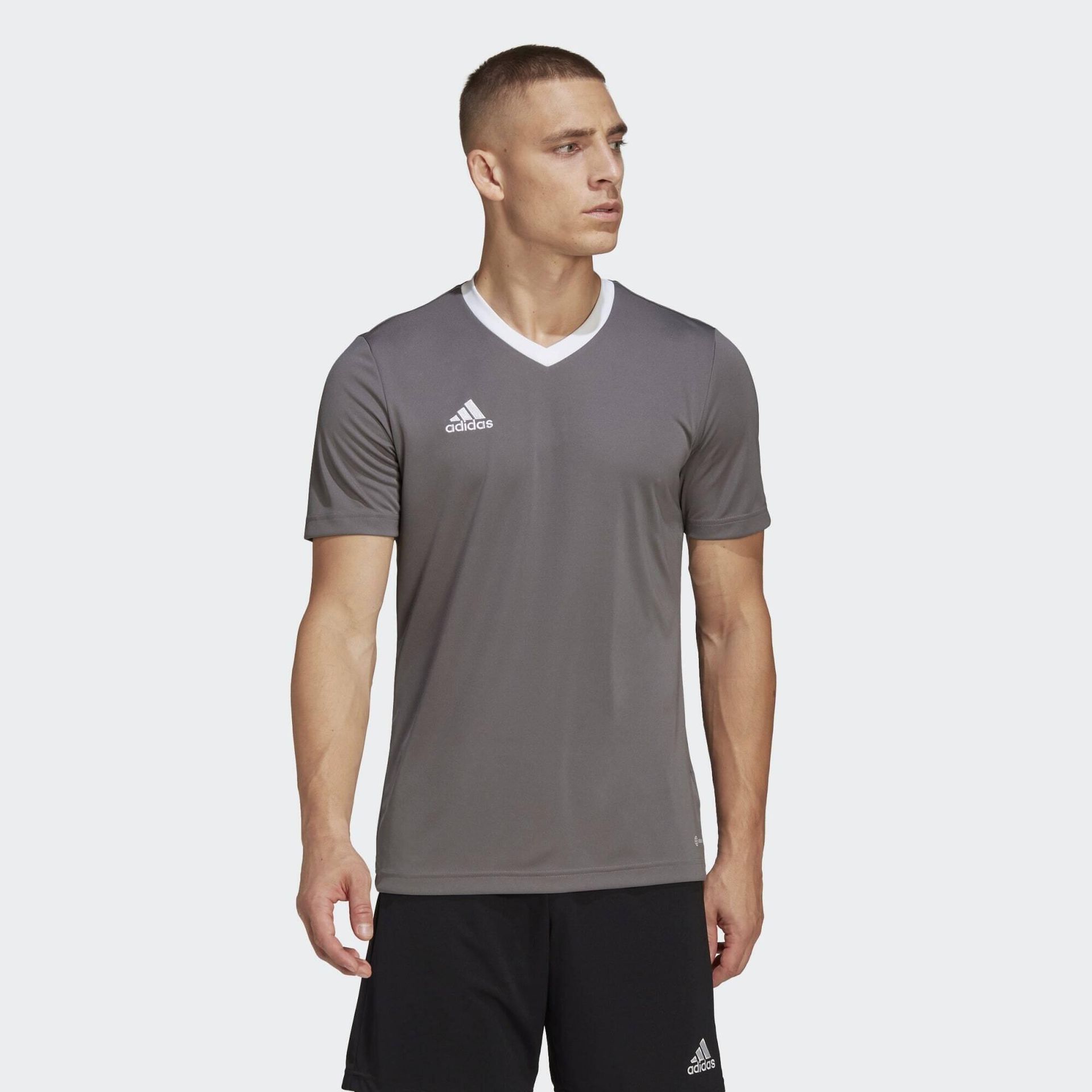 Męska Koszulka z krótkim rękawem ADIDAS ENT22 JSY HE1574 – Szary