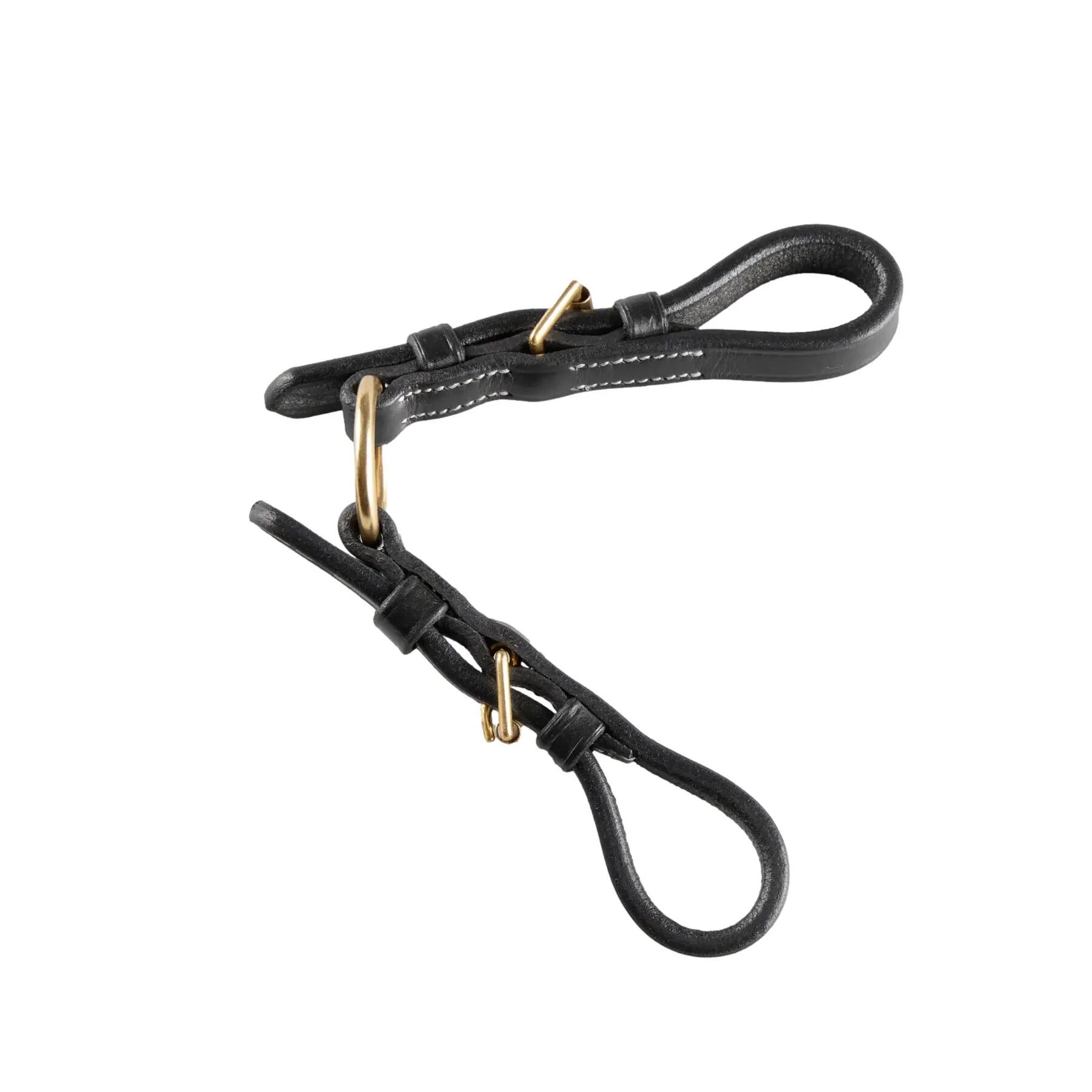 Sojusz dla Wędzidłoów Premier Equine Bit Converter