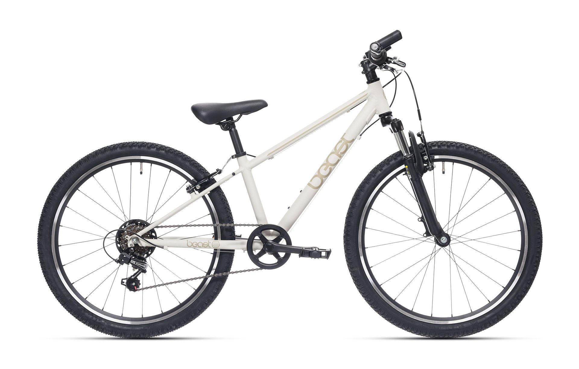 Rower dziecięcy Bikefun Beast 24 cale, 6 biegów Shimano, hamulce V, szary