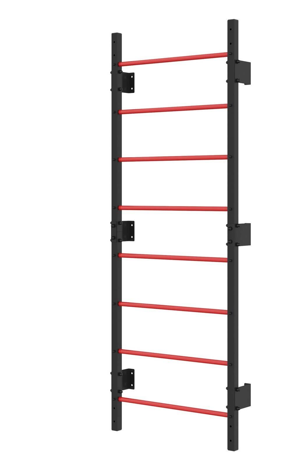 Drabinka gimnastyczna metalowa UNDERFIT 228 x 79 cm czerwona