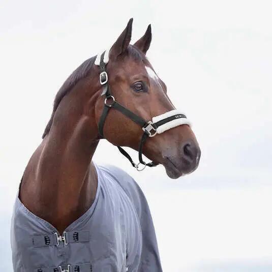 Halter dla koni Horze Howard