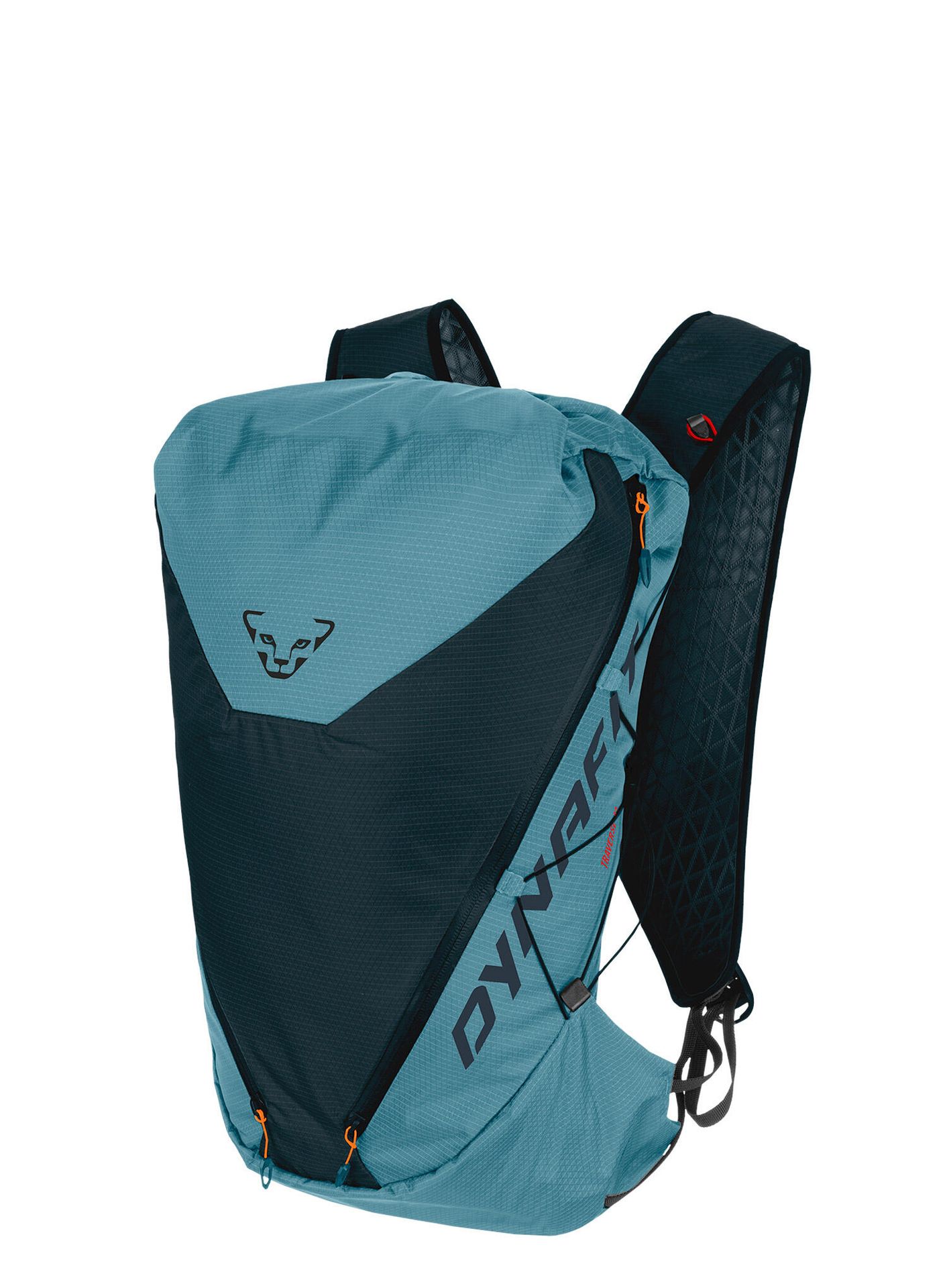Plecak turystyczny DYNAFIT Traverse 22 l storm blue/bluberry