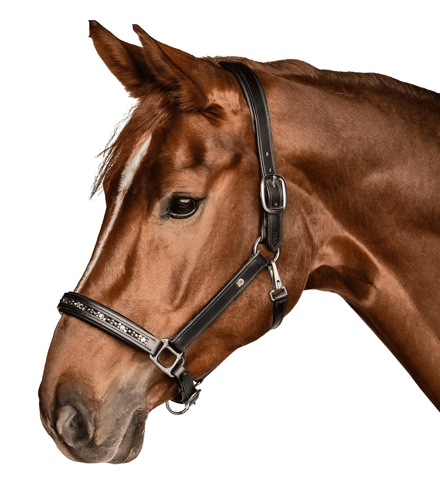 Waldhausen X-Line leren Halster Crystal - Bruin (Cob)