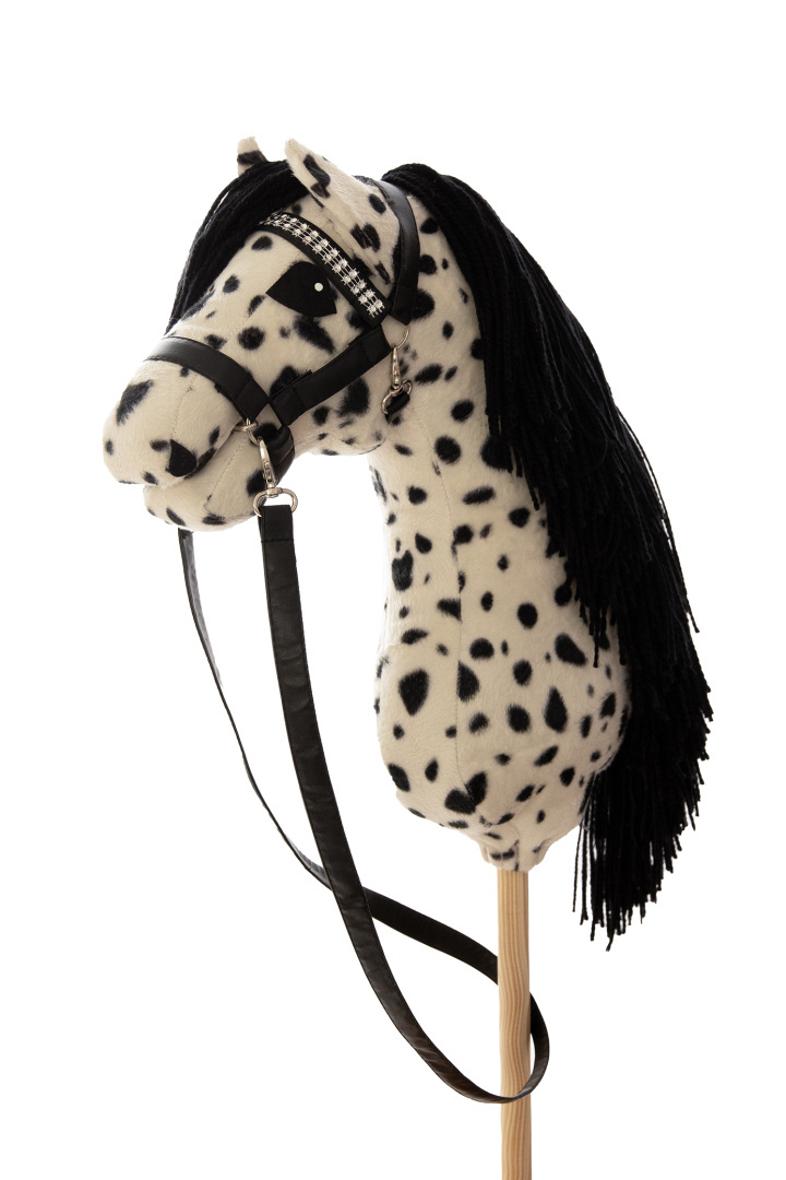 Hobby horse TARANTOWATY A4