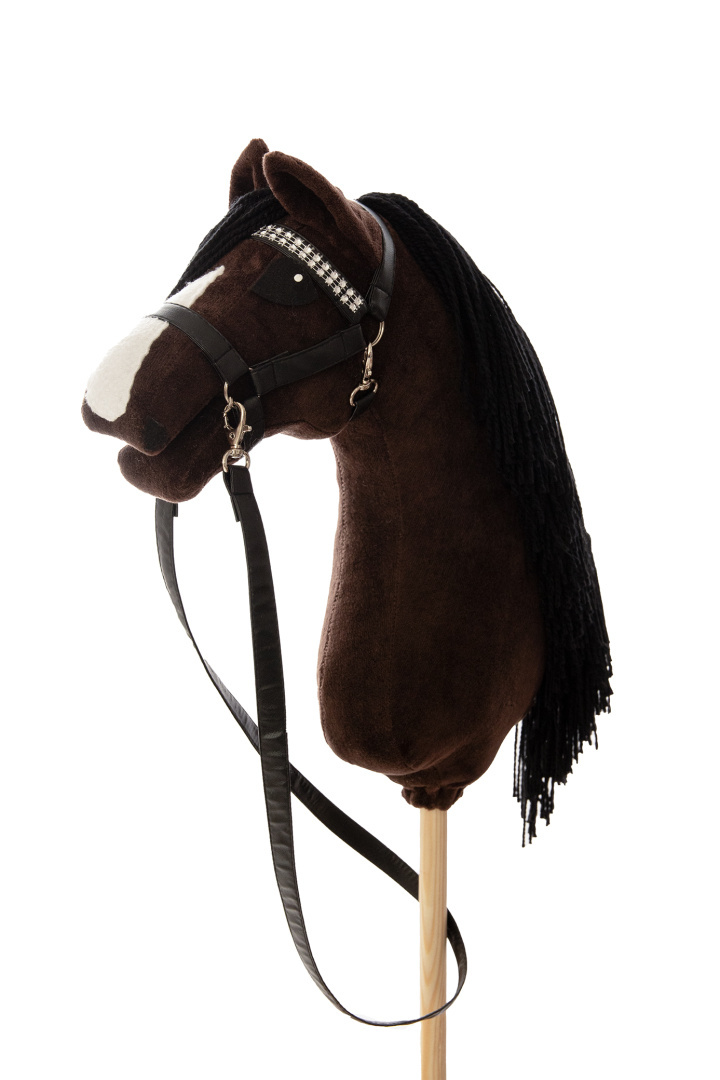 Konik Hobby horse hhAgi GNIADY 2 A3