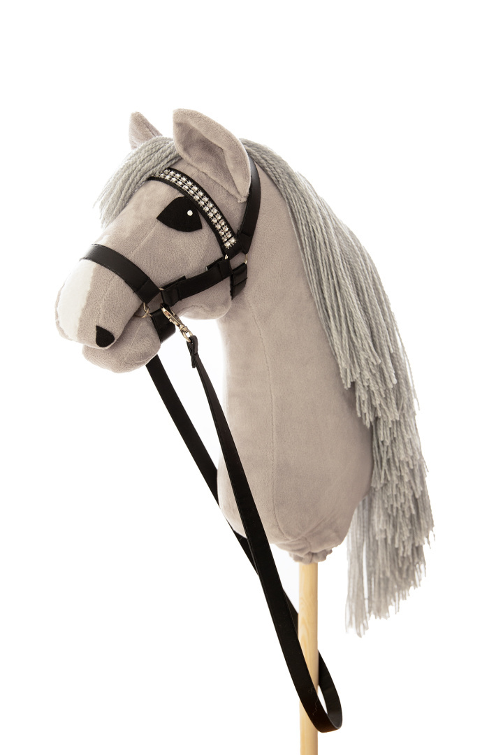 Konik Hobby horse hhAgi SIWEK A4