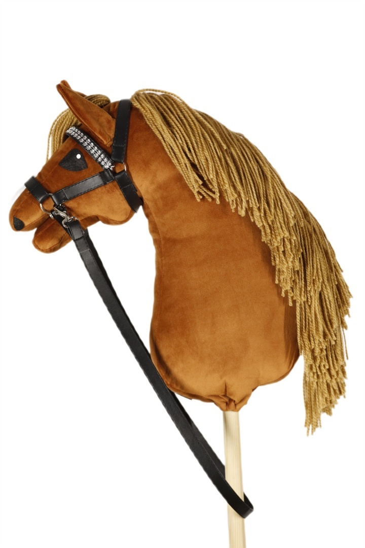 Konik Hobby horse hhAgi KASZTAN A4