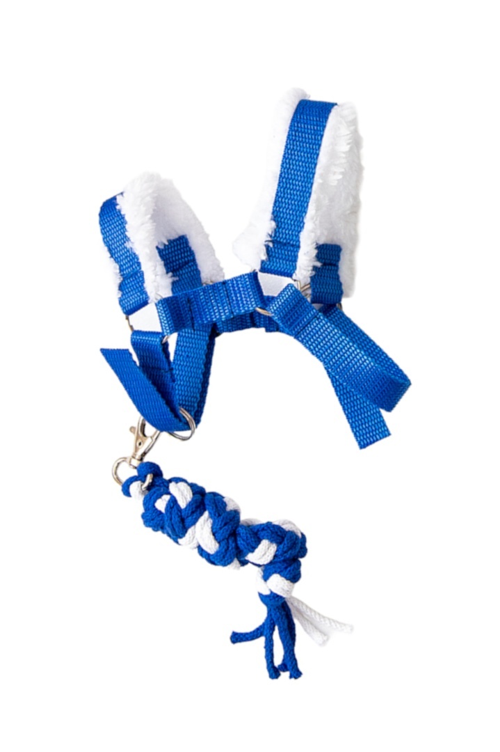 Kantar Hhagi dla hobby horse A5 niebieski - 13