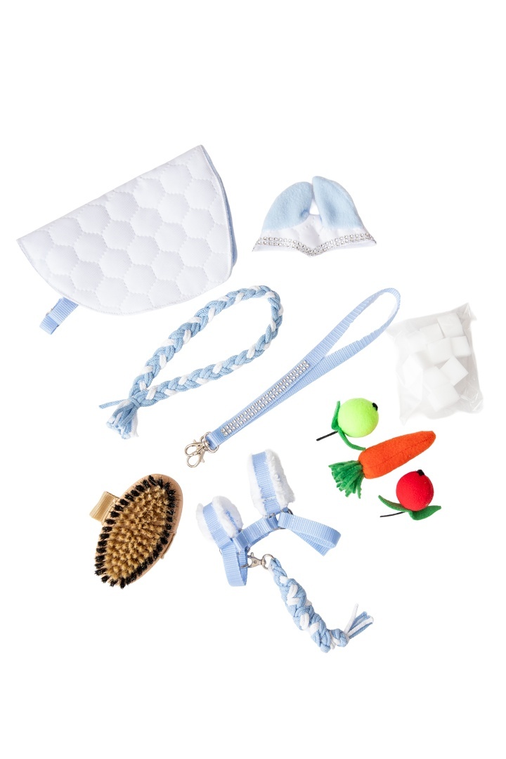 Zestaw akcesoriów 11-elementów nr.21 dla hobby horse A5