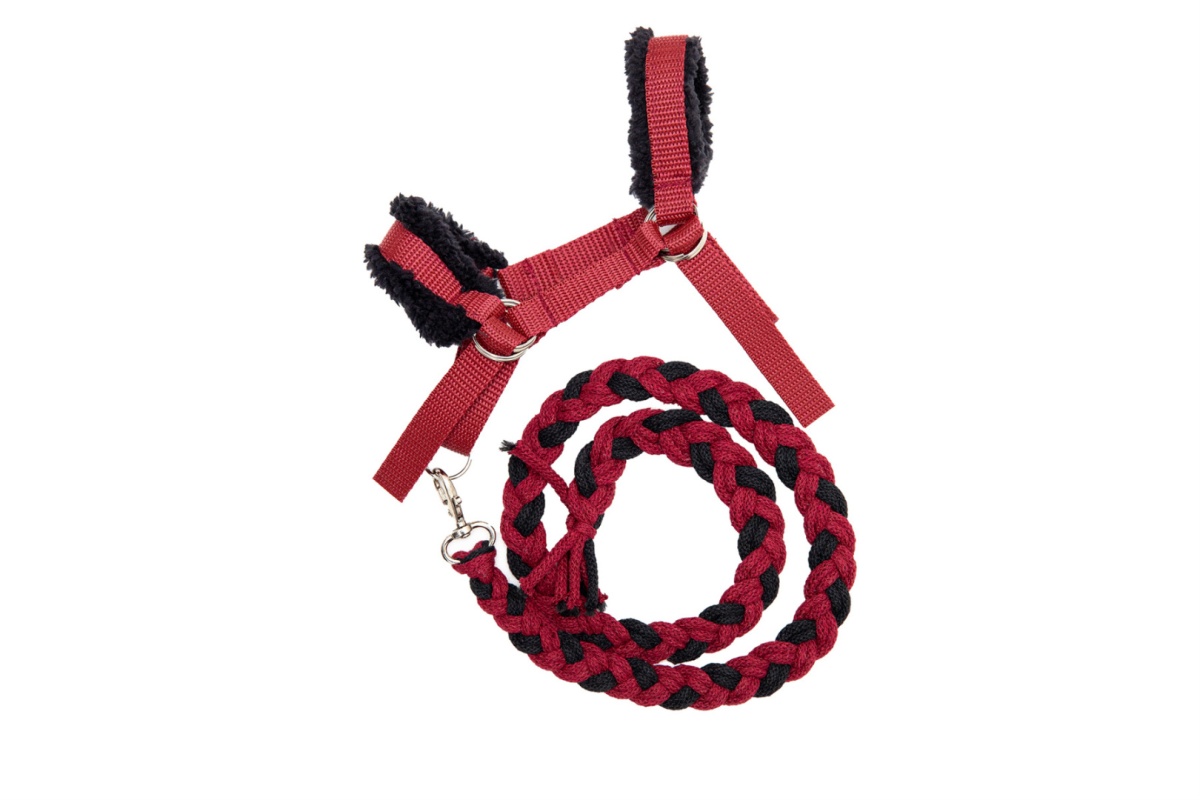 Kantar Hhagi dla hobby horse A4 bordowy - 5