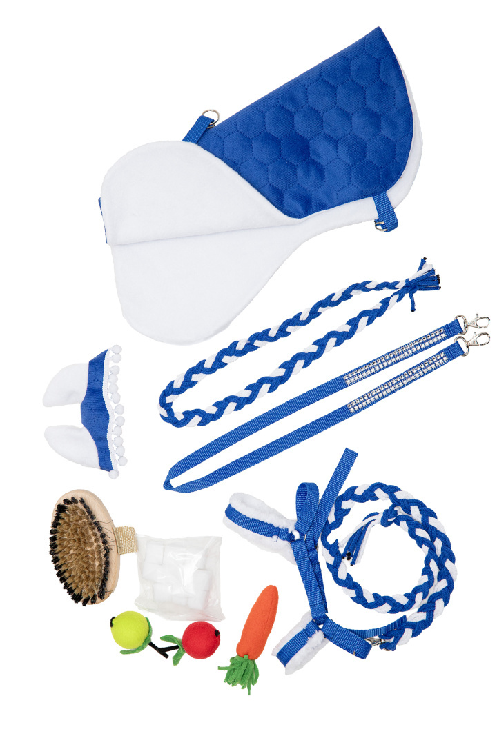 Zestaw akcesoriów 11-elementów nr.13 dla hobby horse A4