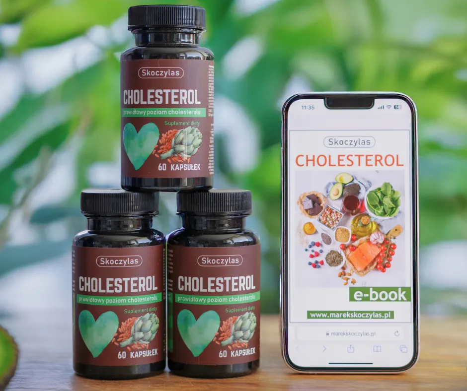 CHOLESTEROL e-book + kompozycje