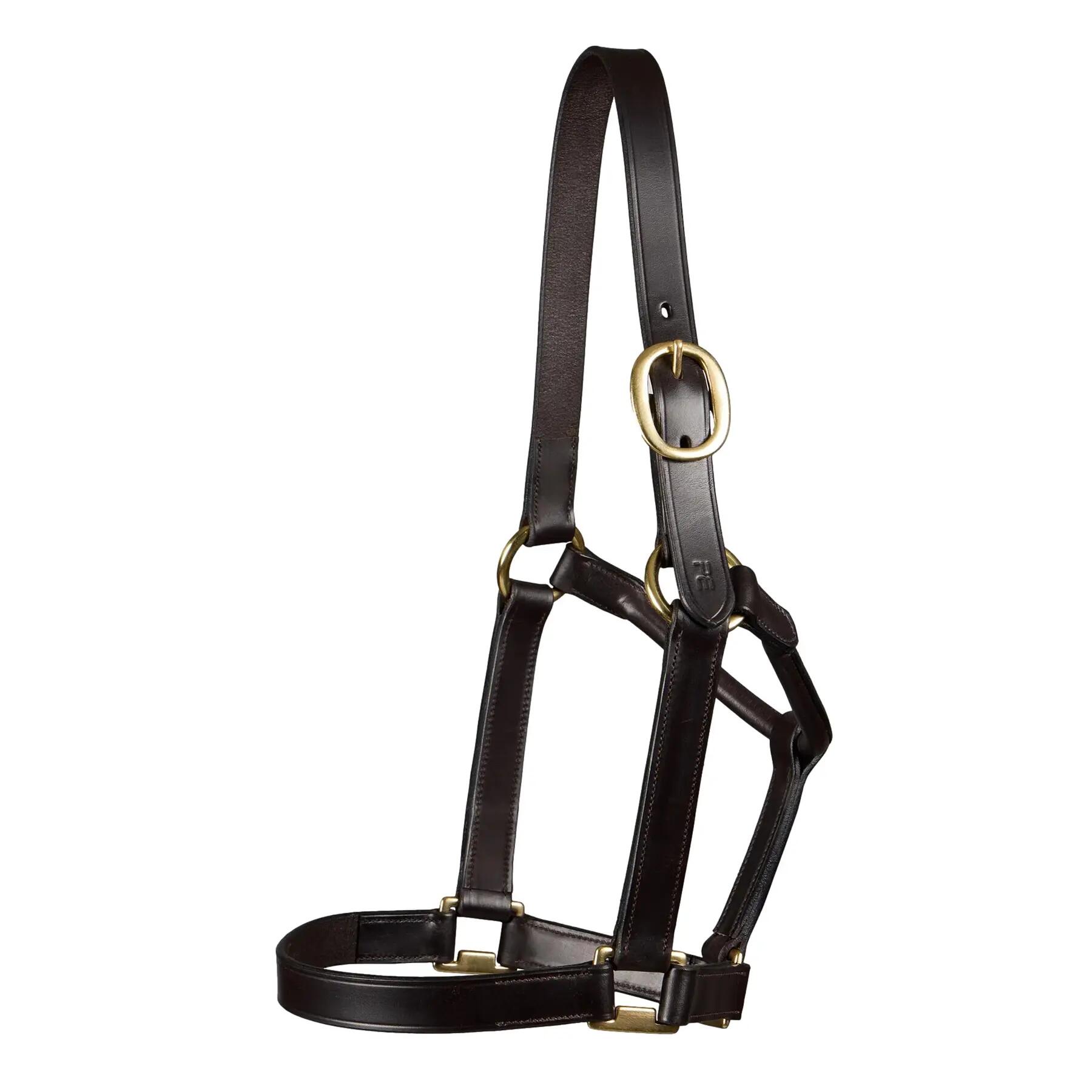 Kantar dla koni Premier Equine Yearling