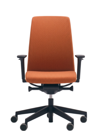 Profim Ergonomiczny Fotel biurowy Motto 10SL - Regulacja Schukra